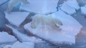 Обертон - Север