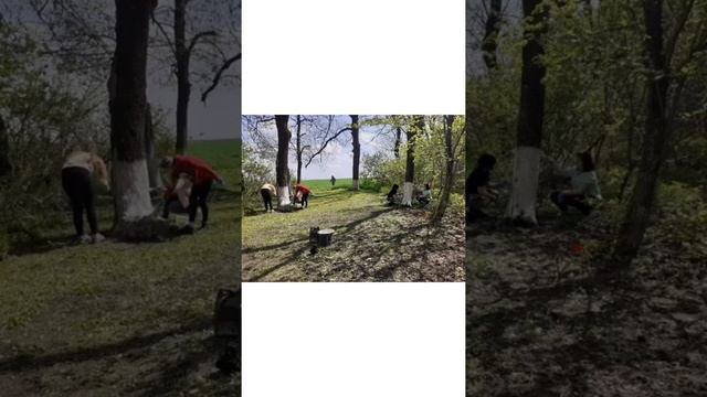 Волонтерство, как альтернатива пагубным привычкам смотреть онлайн