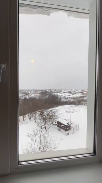 Лодочная 16, Репное