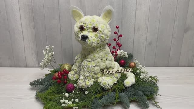 Белая чихуахуа из живых цветов смотреть онлайн