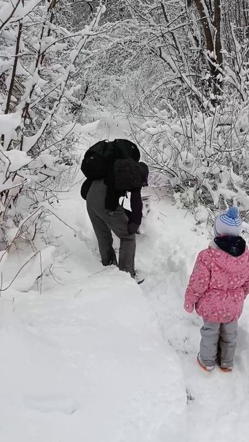 дорога до магазина из дачного посёлка #жизньвглуши #дача #семьявместе #зима #снег