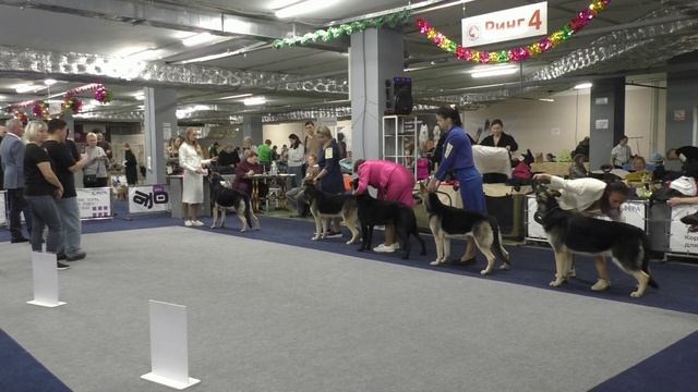 Класс юниоров смотреть онлайн