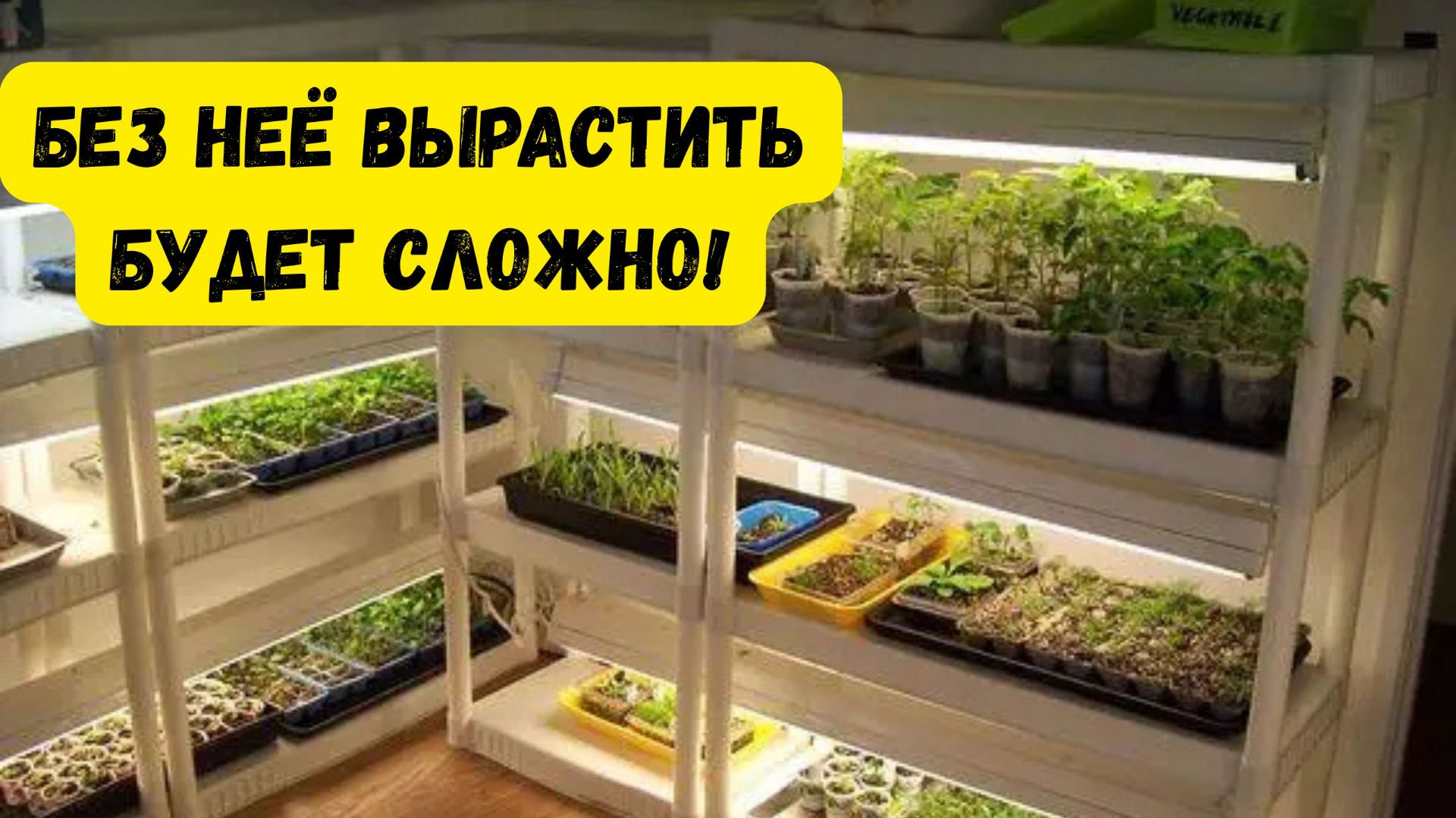 МИНИ ТЕПЛИЧКА СВОИМИ РУКАМИ ЗА ЧАС! БЕЗ НЕЁ ВЫРАСТИТЬ КРАСИВЫЕ ЦВЕТЫ БУДЕТ СЛОЖНО! смотреть онлайн