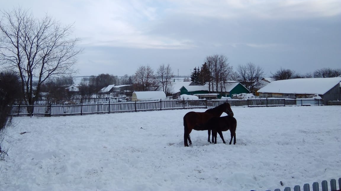 С наступающим Новым годом! Здоровья, любви, процветания и семейного благополучия вам смотреть онлайн