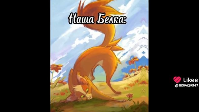 Коты воители