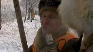 1994 год. Тюмень. Обрезка деревьев