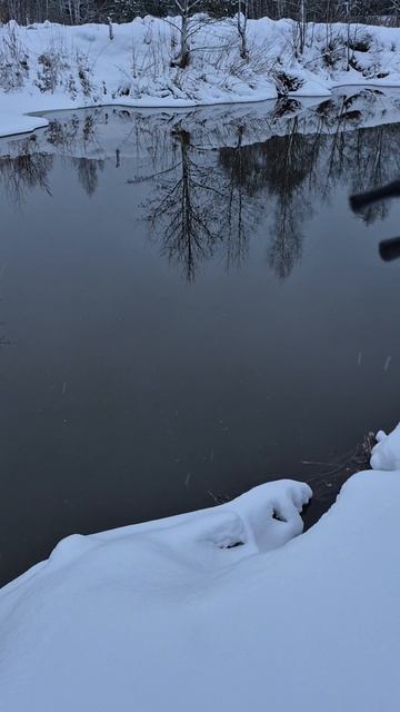 Последний выход с мормышингом в 2025. Наловился окуня от души. Оценил ТелеТен по минусовой погоде.