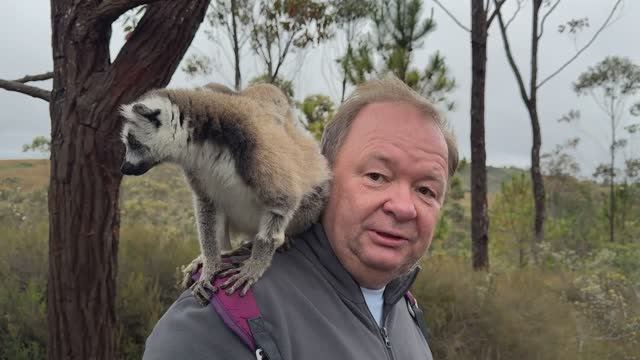Мадагаскар. Лемуры и Баобабы.