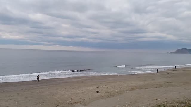 3 января БЕРЕГ МАХМУТЛАРА. ТУРЦИЯ 2026.