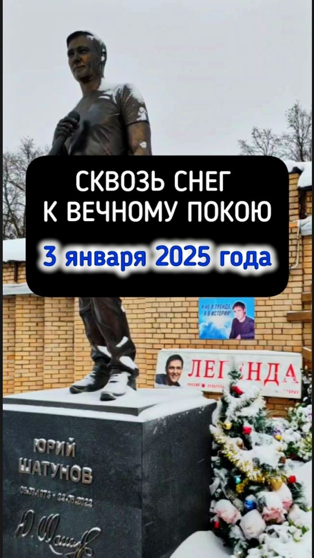 Новый год, старые пути: к могиле Юрия Шатунова #shorts #шатунов #2026 #белыерозы #ласковыймай смотреть онлайн