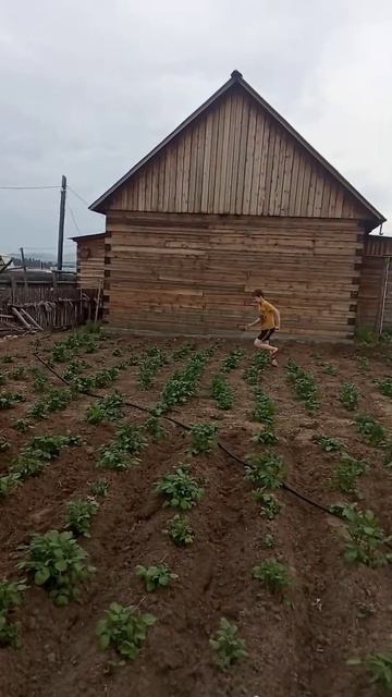 как правильно поесть у бабушки в огороде смотреть онлайн