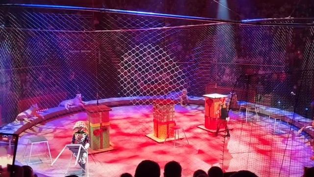 Шоу Аскольда Запашного Стойкий оловяный солдатик Брянский цирк