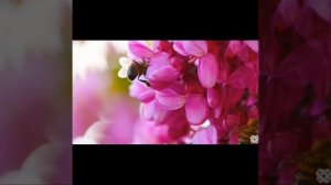 ℹ️ УЧЕНЫЕ в ШОКЕ! Метод БЕХТЕРЕВОЙ работает на 1000% с ПЕРВОГО РАЗА - как получить ЖЕЛАЕМОЕ разумом