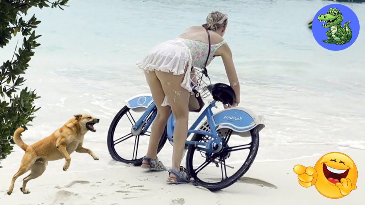 ПОСТАРАЙСЯ НЕ СМЕЯТЬСЯ !!! 🤣🤣🤣 смотреть онлайн