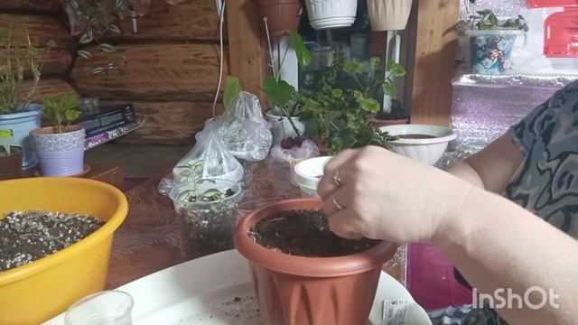 3-01-2026. Жизнь в деревне.Гости собрались ехать домой,я им настряпала пироги. смотреть онлайн