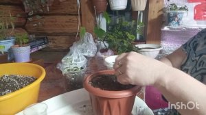 3-01-2026. Жизнь в деревне.Гости собрались ехать домой,я им настряпала пироги.