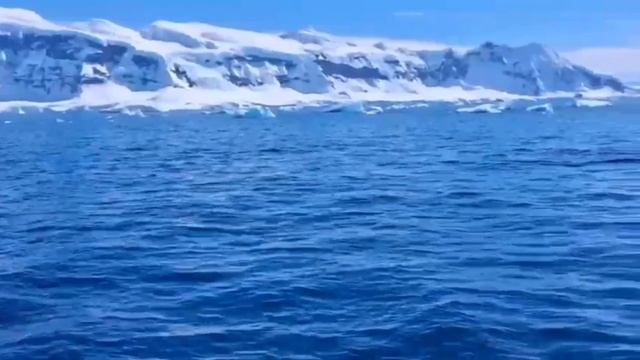 Антарктида.