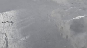 Выживание в деревне (2часть)