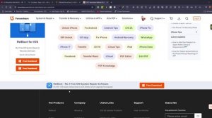 2025 Tenorshare ReiBoot Pro Crack Free Download - Google Chrome 2025-12-31 22-08-03