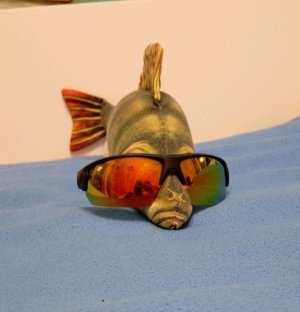 тттттттттттттттттт тттттттттттттттттт