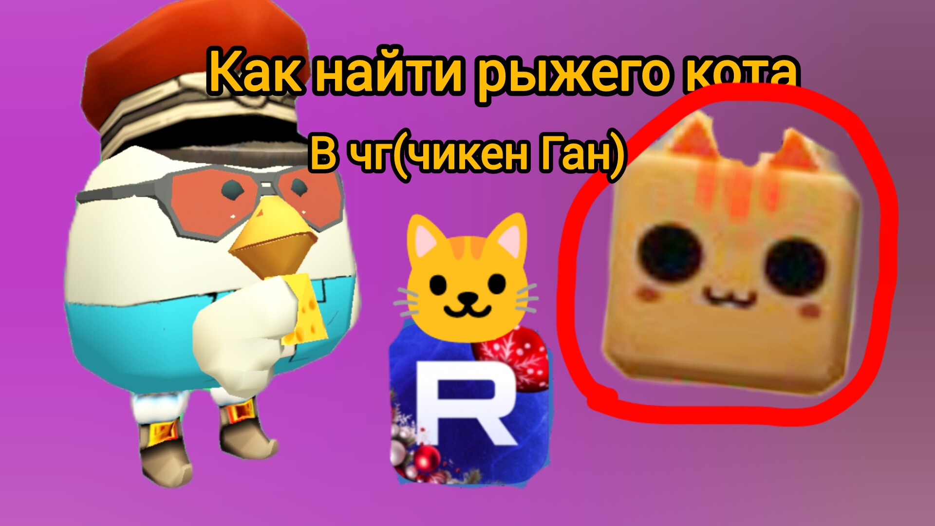 Как найти рыжего кота