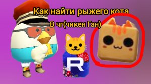Как найти рыжего кота