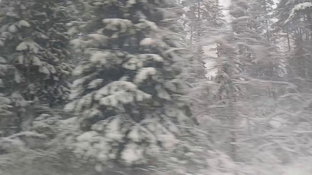 Еду на автобусе в родной посёлок))