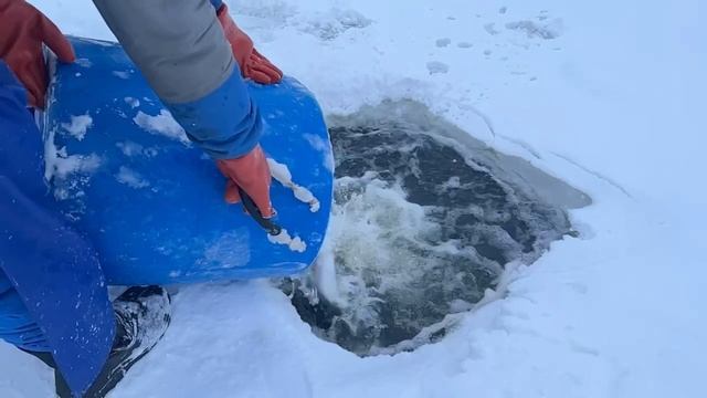 Запуск форели смотреть онлайн