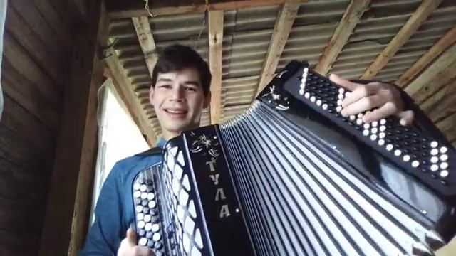 гармошка.mp4 смотреть онлайн