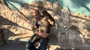 Гамадрилята все висят на Владе и только Тося не понимает почему мама Люся потеряла к ней интерес