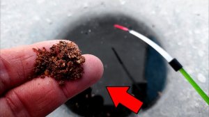 РАСКОРМИЛ САМОЕ РУСЛО! Кто задирает КИВОК в яме! Зимняя рыбалка 2026