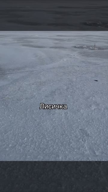 Лисичка на рыбалке... смотреть онлайн