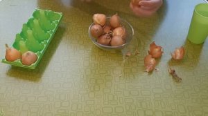 Зимой ЗЕЛЁНЫЙ ЛУК  НЕ ПОКУПАЮ ! Очень Удобный способ без земли в упаковке из под яиц.