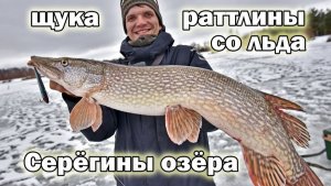 Новогодняя раздача поклёвок на пруду