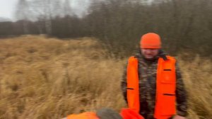 Охота на лося Белоруссия, декабрь 25г