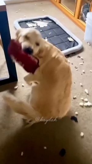 Подписывайтесь,будет интересно