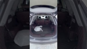 Чери тиго 8 про