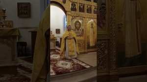 03.01.2026. Проповедь прот. Игоря Гагарина в субботу перед Рождеством Христовым