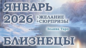 БЛИЗНЕЦЫ | ТАРО прогноз на ЯНВАРЬ 2026 года | Желание | Сюрпризы | Расклад таро