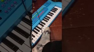 ИГРАЕМ В ДАРТС С ВЕРОНИКОЙ! ОБЗОР НА СИНТЕЗАТОР!