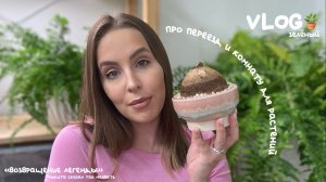 Очередной переезд, ремонт и отдельная комната для растений