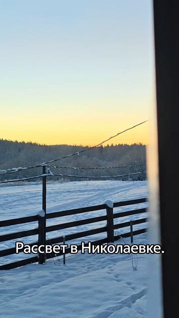 Зимний рассвет. смотреть онлайн