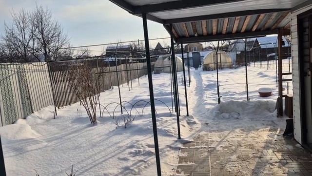 349. дачный сезон 2026 г. ОТКРЫТ. Пугаю мышей. смотреть онлайн