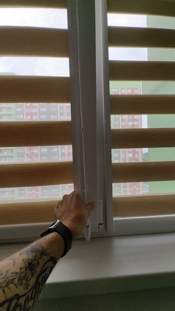 Рулонные шторы День-Ночь #рулонныешторызебра