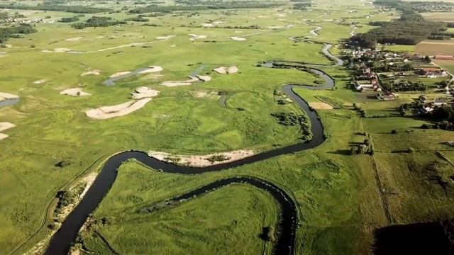 Песни цыганские 2021. смотреть онлайн