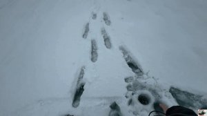 Сложная рыбка. Безмотылка. 03.01.2026 ☃️🥶🎣