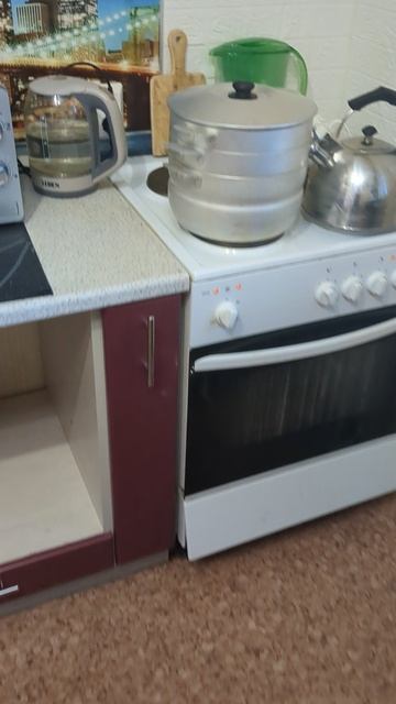 Новогодние Котлеты и Манты