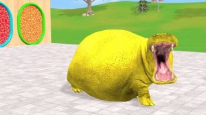 Веселые игры с слоном, гориллой, бегемотом, тигром - 3D игра с животными - Забавные 3D животные