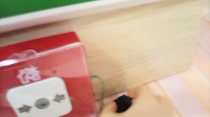 тест на "ИПР 513-10"