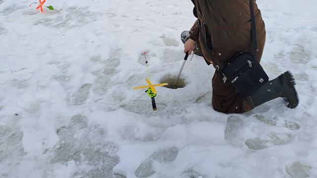 Основной водоём. Поимка форели. смотреть онлайн